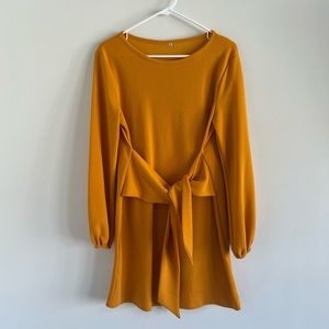 EUC Mini Crewneck Dress with long sleeves